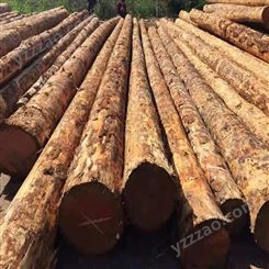 建筑木方厂家批发 呈果木业 长期供应3x8建筑木方厂家批发