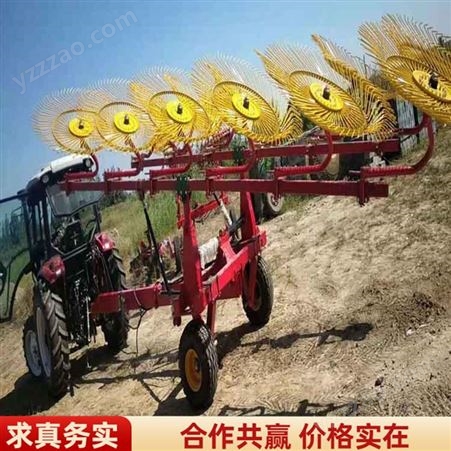 农用搂草机 指盘搂草机 6盘弹齿搂草机 销售供应