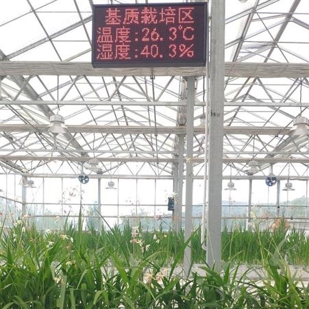 提供青海西宁立体无土栽培设备 青海西宁种植槽报价 中农智造 中农DX- 1007型产品