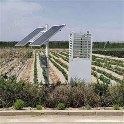 中农智造DX3123 虫情监测系统 太阳能杀虫灯 自动虫情测报灯质量