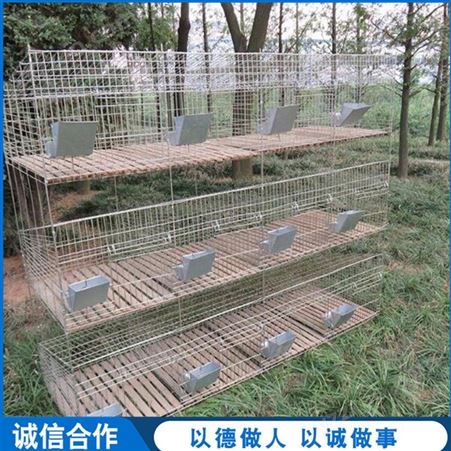 双层养殖兔笼 子母配对兔笼 24位商品兔笼 长期出售