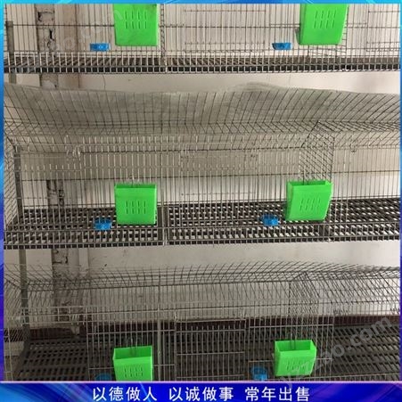 二层兔子笼 双层养殖兔笼 成年兔笼养殖笼 山东供应