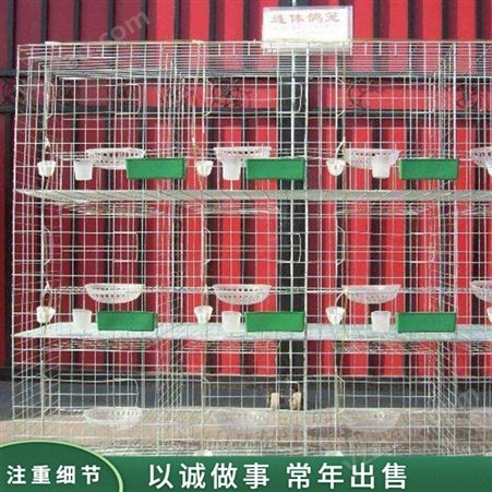 12位肉鸽配对笼 16位鸽笼子 加粗12为鸽笼 销售供应