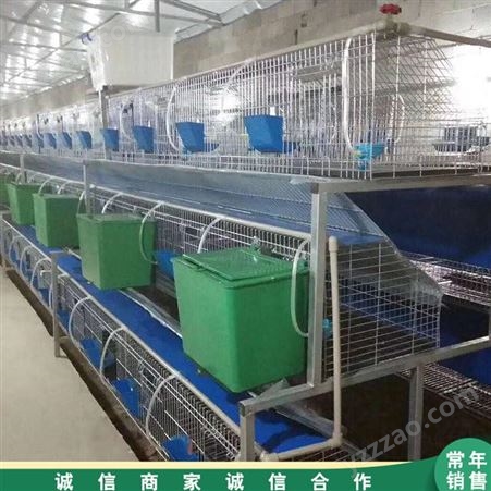 市场供应 加粗商品兔笼 商品加粗母笼 种兔苗养殖笼