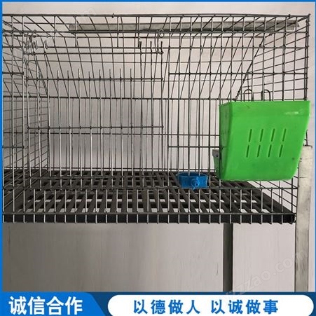 双层养殖兔笼 子母配对兔笼 24位商品兔笼 长期出售