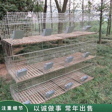 青年兔种兔子笼 加密兔子笼 大型简约兔子笼 出售供应