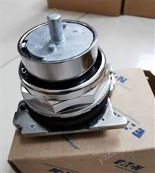 BUCHER 齿轮泵 m-3326-0121美国原始设备制造商