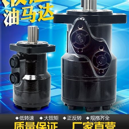 鸿鹏 大力摆线油泵液压马达油缸双向液压缸 液压油马达BMR