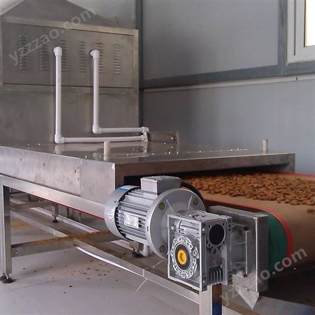 小型五谷杂粮微波熟化设备 高温微波烘干连续化生产设备 薏米微波烘烤机