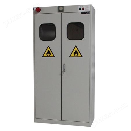 实验室新型功能柜全钢气瓶柜带报警装置可定制迅领