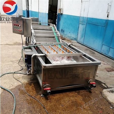 果蔬生产清洗流水线 水果叶菜气泡清洗机 机械设备零件滚筒清洗机 欧业