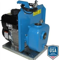 美国Goulds研磨泵B3656LH R5原件进口