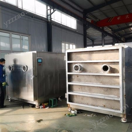 桂花鱼冻干机 快餐方便食品冻干机设备 草莓冷冻干燥机 利宇厂家生产