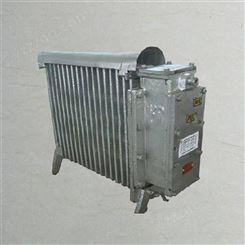 127V煤矿用防爆电暖器 煤层隔爆电热取暖器 井下取暖器