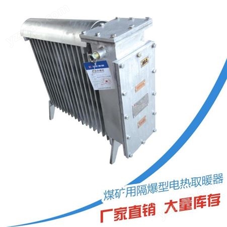 厂家现货电热取暖器 RB-2000/127（A）固定式防爆电暖器 油汀式防爆电暖器价格低