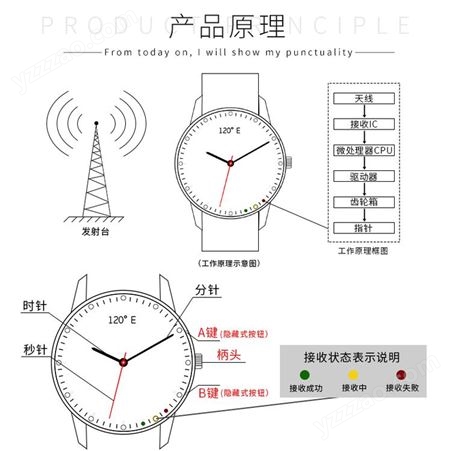 时间之旅 2021电波表 手表 时尚简约大气 自动对时