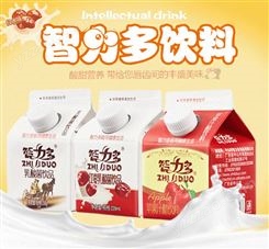 智力多红枣乳酸菌饮料批发代理酸奶采购