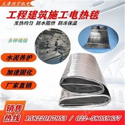 天津洲宇DRT-XJ1 混凝土 养护电热毯 量大从优