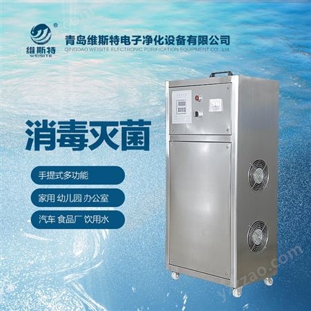 上海臭氧发生器厂家 臭氧空气消毒机 水处理臭氧发生器 青岛维斯特