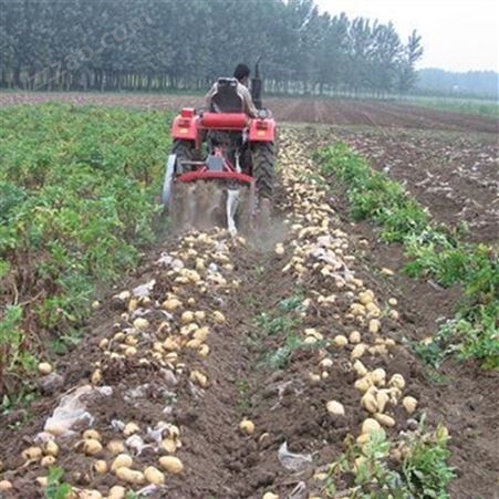 四川起挖芋头薯类收获机 多功能红薯收获机 手扶土豆收获机