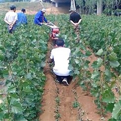 园林种植营养碎土机 农用葡萄埋藤机 农用小型开沟培土机