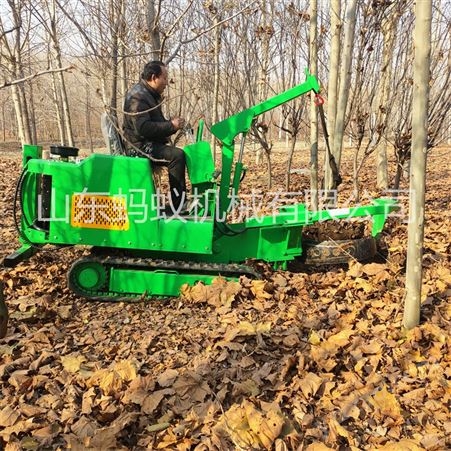 厂家直发履带式移树机 供应履带苹果树挖树机 可以定制