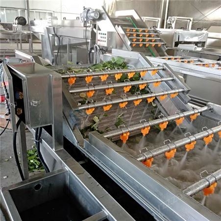 毛豆清洗机 配置冰水机组的气泡清洗机生产厂家 杏鲍菇洗切生产线