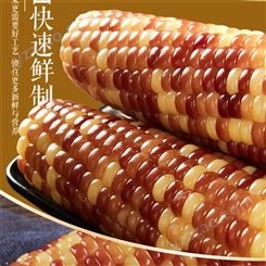 即食紫糯玉米加工设备-年香玉花糯玉米棒东北特产加工设备-鲜玉米固色机
