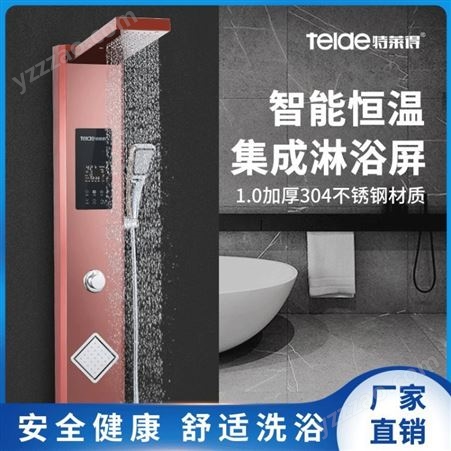 特莱得TLD-Q5-85多功能家用集成淋浴屏电热水器 安全一体式智能控制