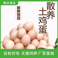 散养草鸡蛋_德谷食品_大量供应_草鸡蛋礼盒