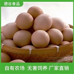 德谷食品_草鸡蛋礼盒_农家草鸡蛋_营养价值高