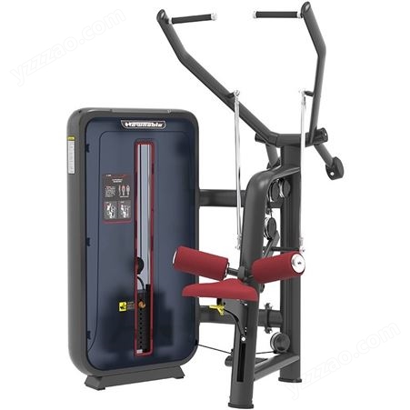 新贵族综合训练器商用健身器材健身房专用上肢力量专项训练器 6019单双杠训练器