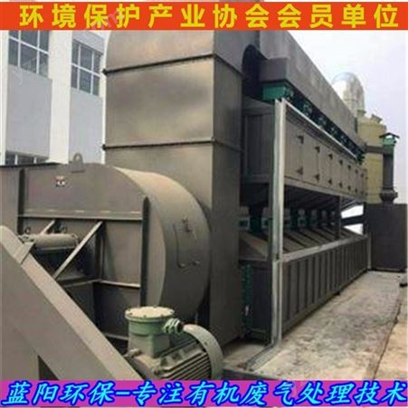 瑞安废气处理-工业废气净化处理厂家 蓝阳环保