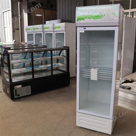 热饮展示柜大型立式保温箱 黄冈奶茶店饮料加热机