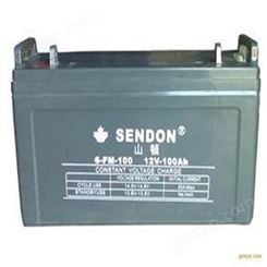 SENDON山顿12v100AH蓄电池 6FM-100应急电源 UPS/EPS电源直流屏通用天津供应