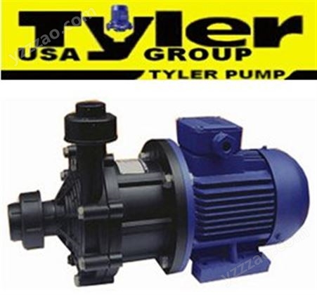 进口塑料泵,塑料磁力泵，耐腐管道泵-美国TYLER泰乐塑料泵