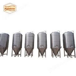 加工定制10吨发酵罐  精酿啤酒厂设备 出口品质 明博啤酒设备