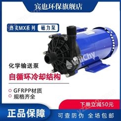 日本IWAKI易威奇磁力泵MX-100EM-13无泄漏化工输送泵