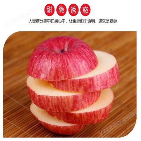 产地红富士 早熟苹果糖分高 烟台红富士苹果种植 裕顺价格实惠