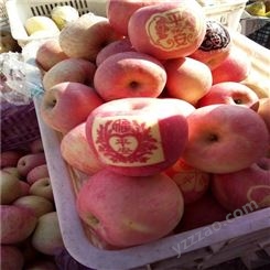 苹果批发 新品种苹果实惠好吃 红富士价格美丽 裕顺大量上市