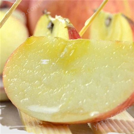产地红富士 早熟苹果糖分高 烟台红富士苹果种植 裕顺价格实惠