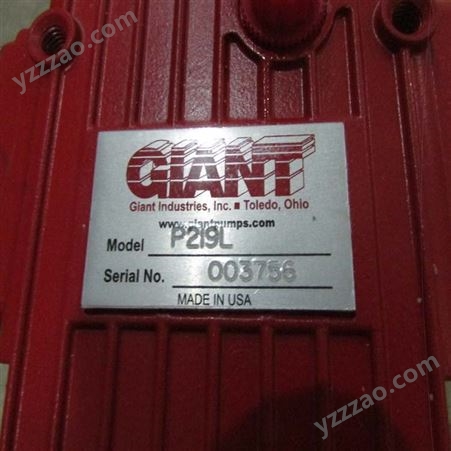 部分型号有库存GIANT泵TORK柱塞泵GIANT执行机构