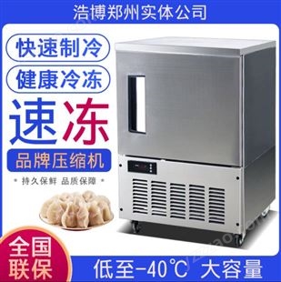 速冻柜 手工商用冰棍 卡通雪糕机 急速冷冻冰棍机 海鲜水饺速冻箱