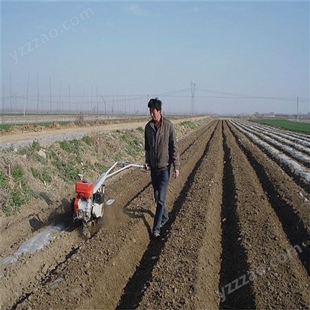 动力强劲  葱姜种植开沟机培土机价格上海