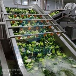 酱菜厂用蔬菜果蔬清洗机 大型食堂用全套自动净菜清洗机