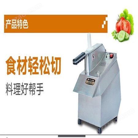切蔬菜刹菜机蔬菜切片切丝机TR-21立式全自动不锈钢恒联切菜机