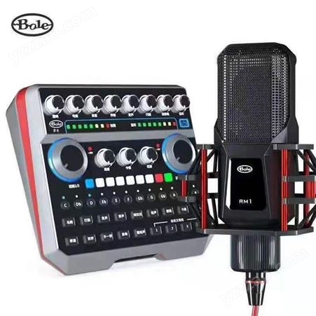 声佰乐（Bole） b6声卡套装主播设备直播唱歌48V电容麦克风话筒手机电脑通用外置声卡套装