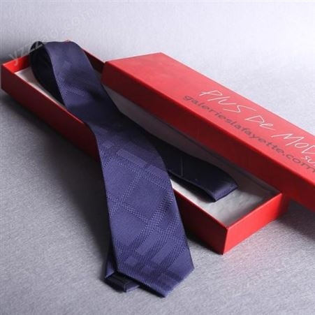 领带 商务职业领带定制  和林服饰