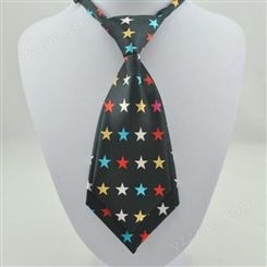领带 商务职业领带定制 大量出售 和林服饰