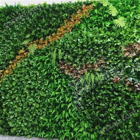 上海植物墙施工 仿真绿植墙设计